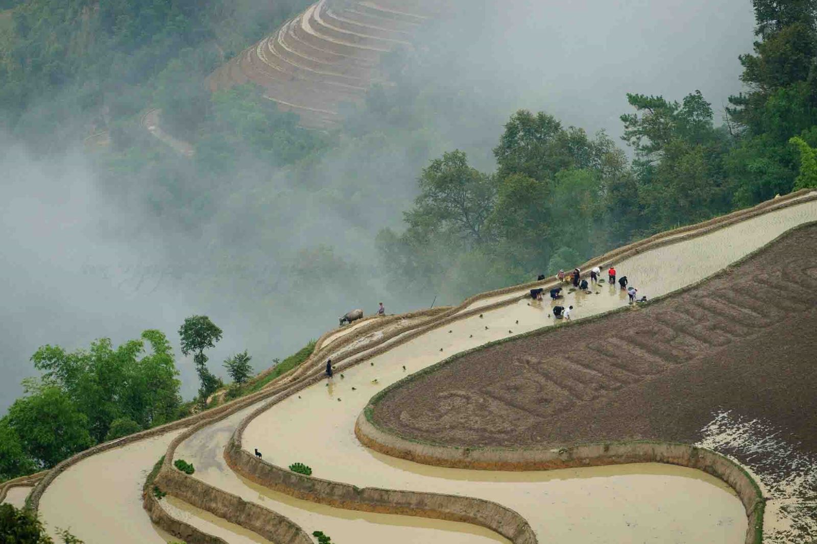 Cómo llegar a Sapa en limusina