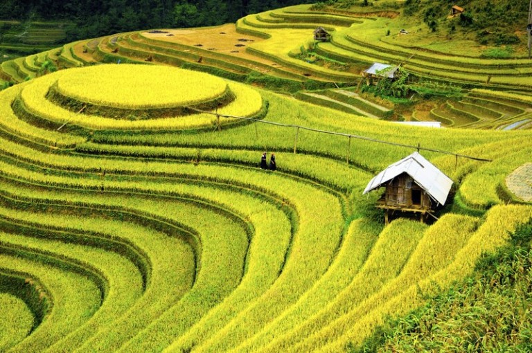 Sapa-observando-los-campos-en-terrazas-768x510