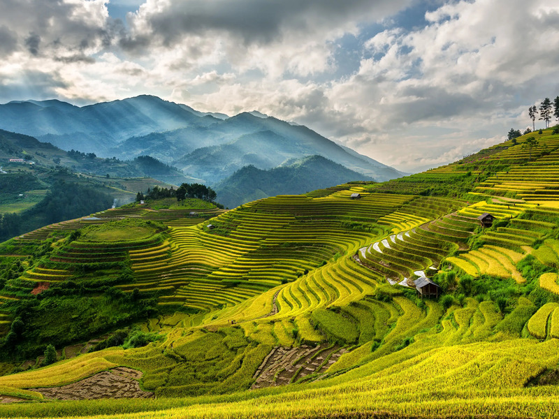 clima ¿cual es el mejor momento para viajar a vietnam