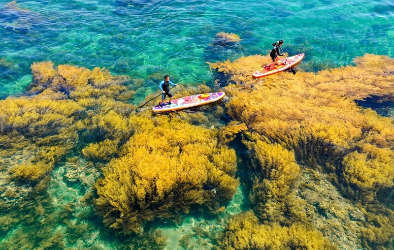 Tour de Vietnam a la playa de Quy Nhon en 16 días