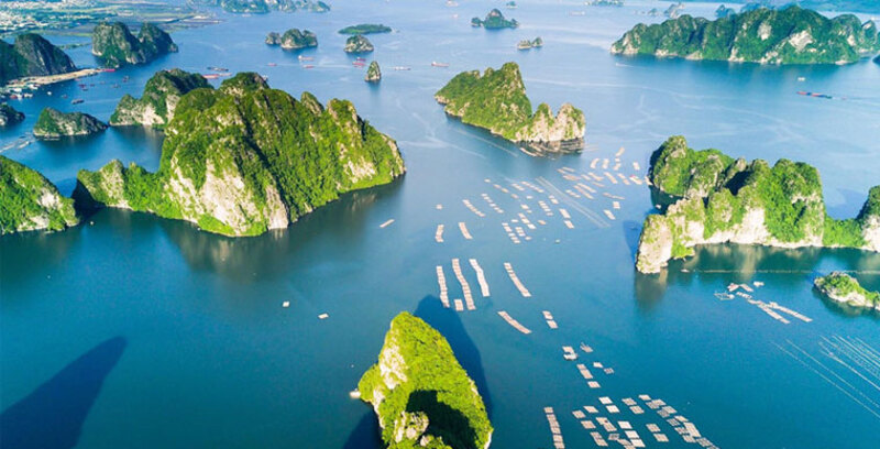 ¿por que deberia elegir el crucero por la bahia de ha long para su viaje a vietnam